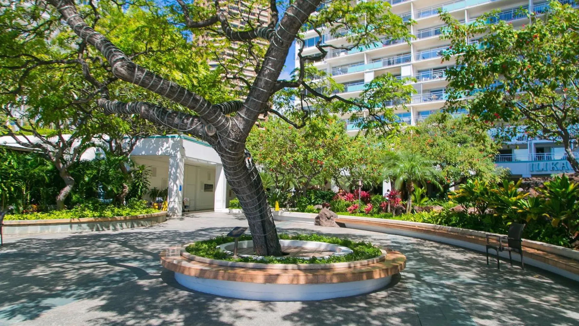 Ilikai Tower 1314 Lagoon View 1Br Honolulu Apartment